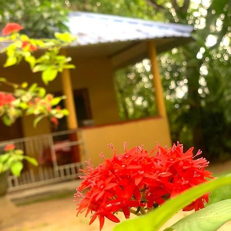 Yapahuwa Relax Stay Exterior photo