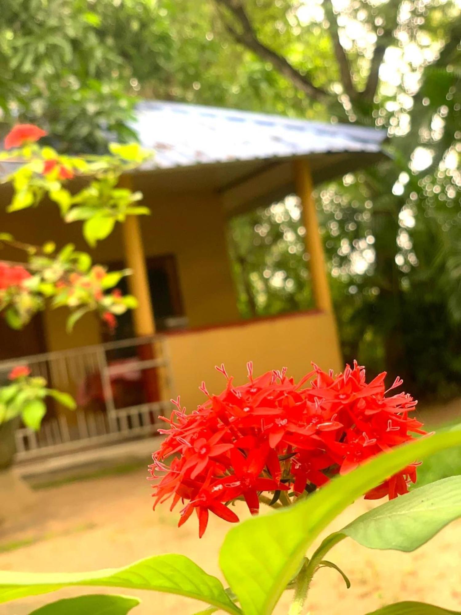 Yapahuwa Relax Stay Exterior photo