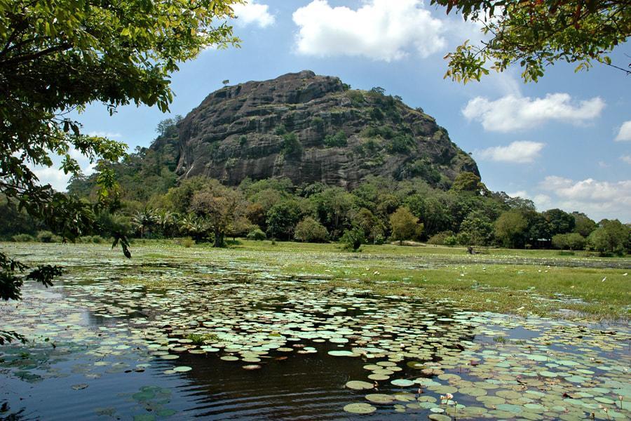 Yapahuwa Relax Stay Exterior photo